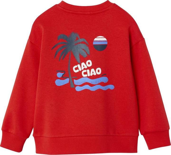 Produktbild Vertbaudet Jungen Sweatshirt mit Urlaubsmotiv hinten, Recycling-Polyester (140)