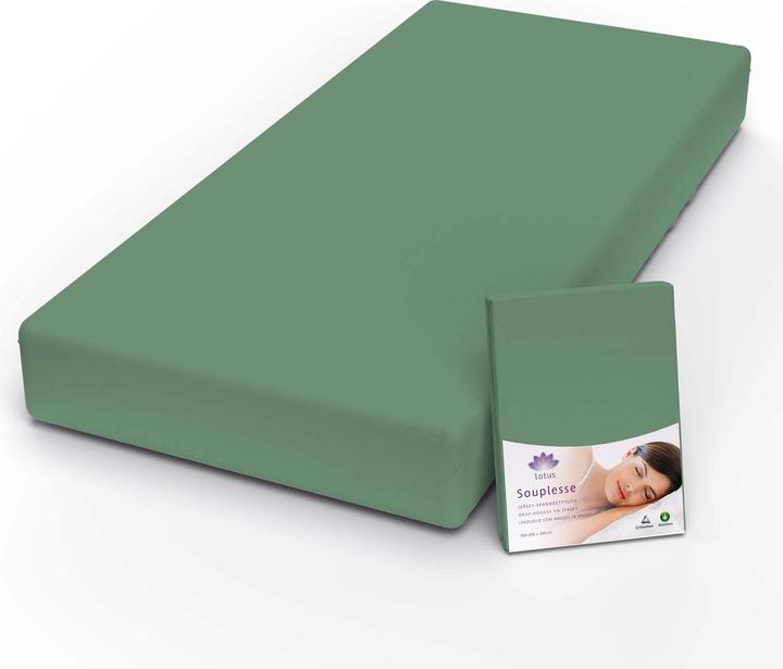 Image du produit Lotus Bettwaren Drap-housse en jersey Souplesse (180 x 200 cm)