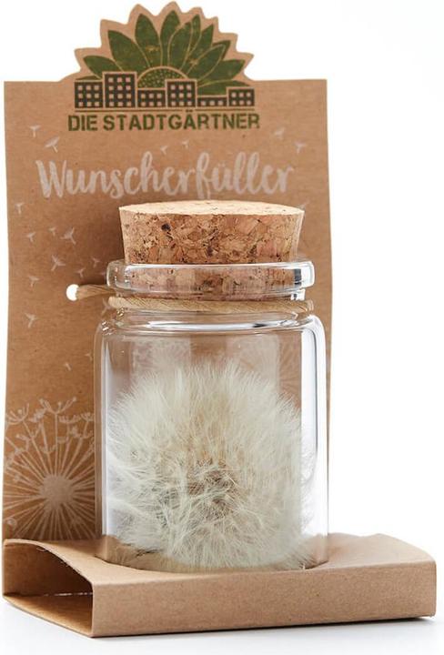 Produktbild Natura Punto Pusteblume (Ø 4 x 8 cm)