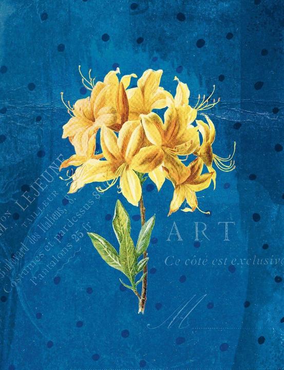 Actual product image The artists' gardens Large notebook (A5) Yellow orchid motif (A5)