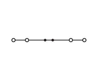 Actual product image Wago Through terminal