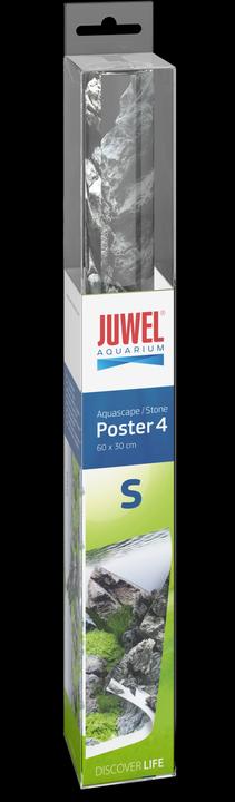 Actual product image Juwel Aquarium Photo back wall 4 size S 60x30cm (other buildings)