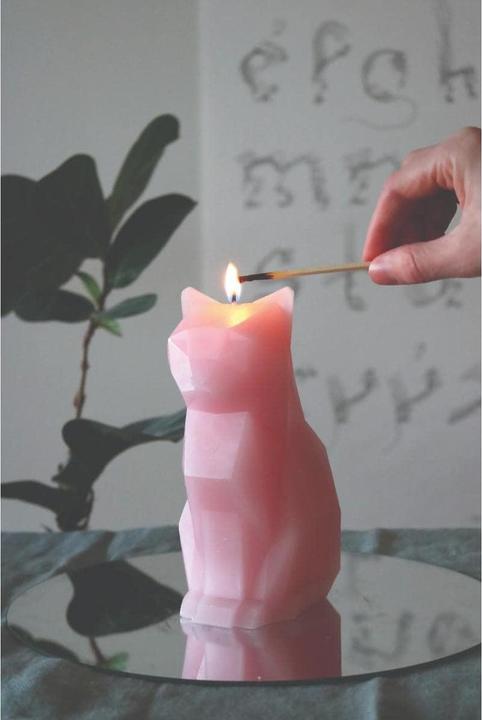Image du produit 54Celsius PyroPet Kisa (1 pcs)