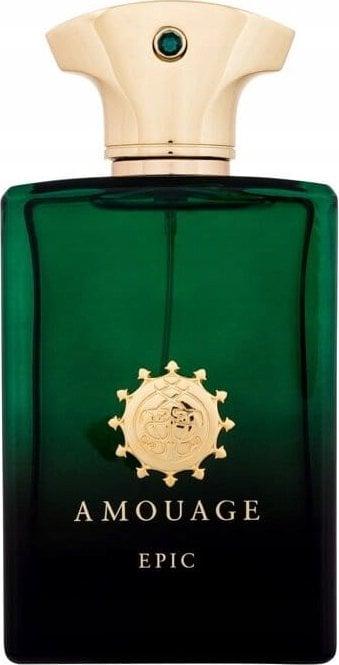 Image du produit Amouage Homme épique (Eau de parfum, 100 ml)