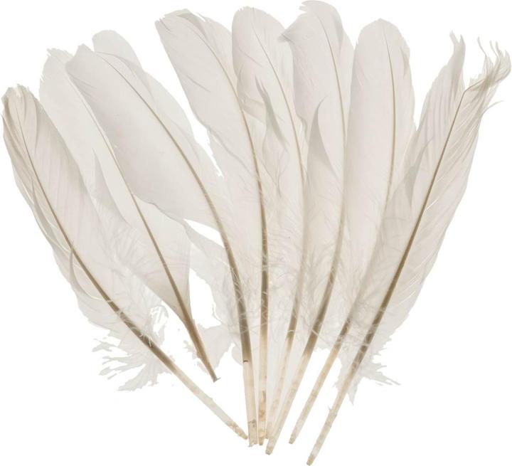 Actual product image Rayher Gänsefeder