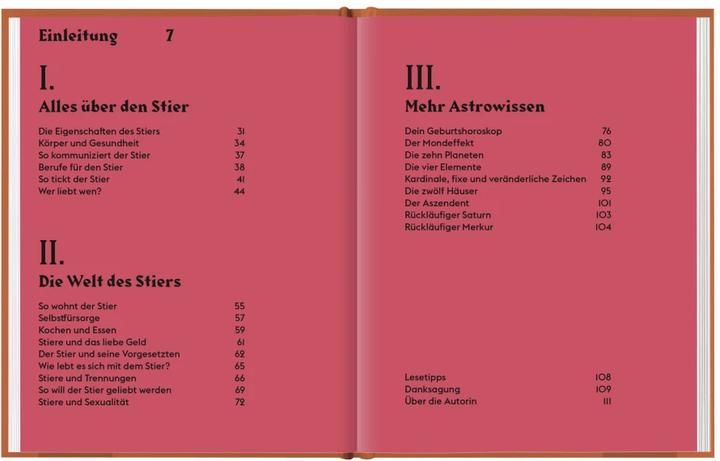Produktbild Stier (Deutsch, Stella Andromeda, 2021)