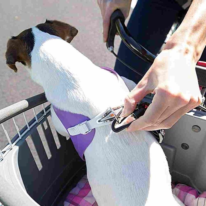 Produktbild Ferplast Atlas Bike 20 Rapid (Hund, Reflektoren)