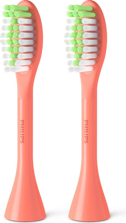 Corallo