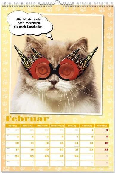 Image du produit Calendrier poster chats cools 2025 (Non contraignant, Allemand)