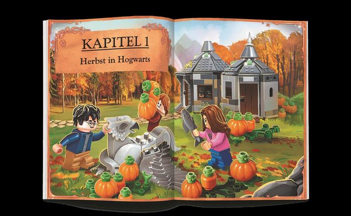 Actual product image LEGO HP Magisches Jahr in Hogwarts (LEGO Harry Potter)