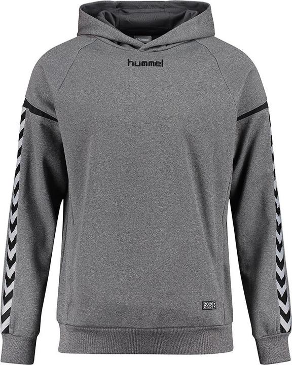 hummel Authentic Charge Poly Hoodie