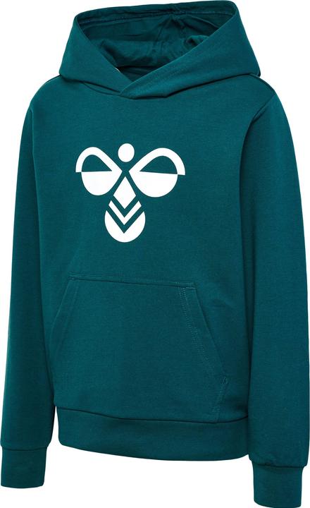 Actual product image hummel Cuatro Hoodie (128)