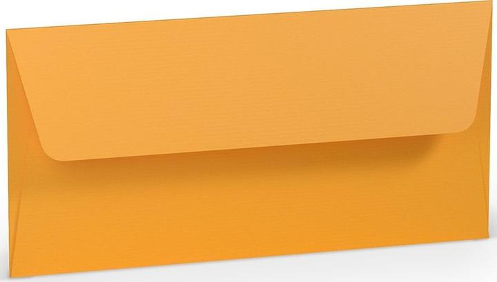 Actual product image Rössler Envelope DL SF ochre ribbed (5 x)