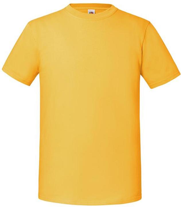 Fruit of the Loom Premium TShirt