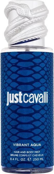 Immagine prodotto Roberto Cavalli Just Cavalli Vibrant Aqua (Spray corpo, 250 ml)