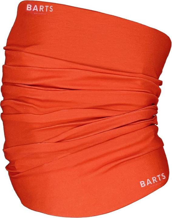 Actual product image Barts necklace multicol