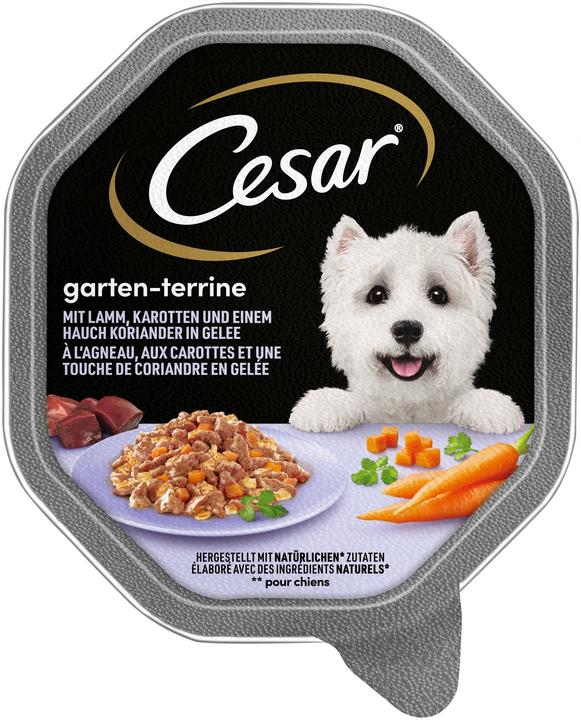 Image du produit Cesar Casar, nourriture pour chiens, agneau avec carottes et coriandre, 150 g (Adulte, 1 pcs, 150 g)