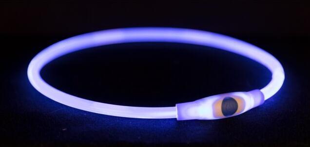 Produktbild Trixie Flash Leuchtring USB (S, M, Hund, Hundesport)