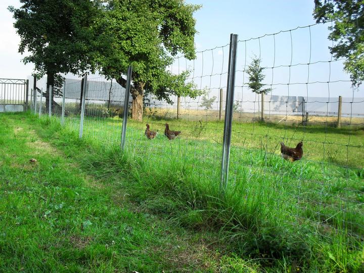 Produktbild Aquagart 450m Wildzaun Forstzaun Weidezaun Drahtzaun Knotengeflecht 180/16/15