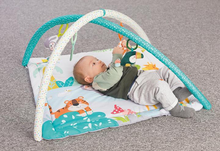 Actual product image Fillikid Safari play arch