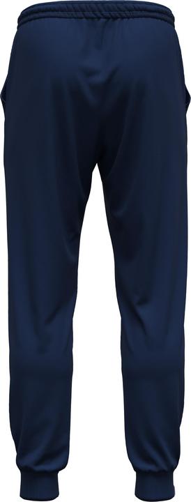 Actual product image Errea training trousers france denali 2024/25 (M)