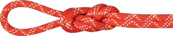 Mammut 9.5 Gym Classic Rope (50 m)