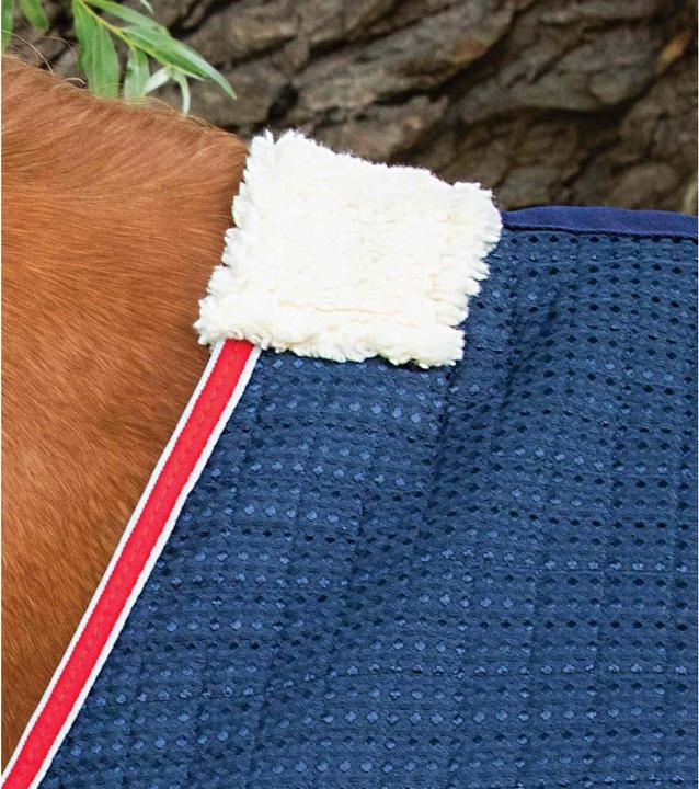 Produktbild Premier Equine Walker 0 g (175 cm)
