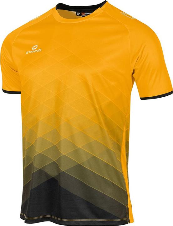 Stanno Altius Trikot (164)