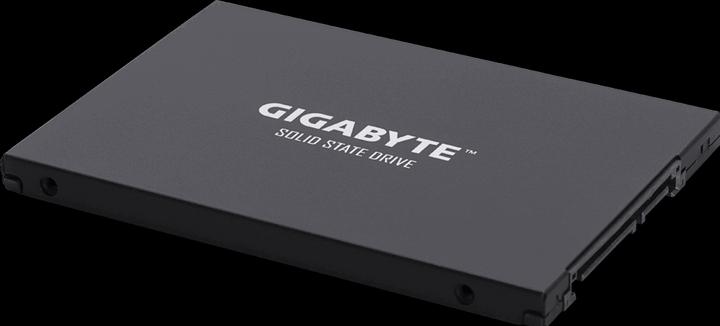 Produktbild Gigabyte GP-GSTFS30256GTTD (256 GB, 2.5")