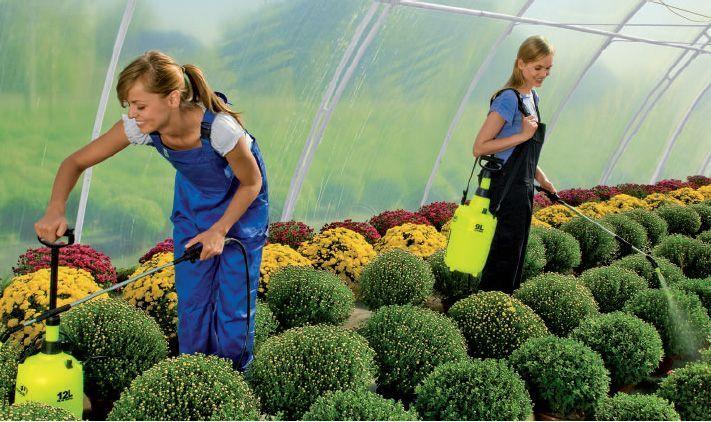 Actual product image Marolex Water sprayer PROFESSION 9 (9 l)