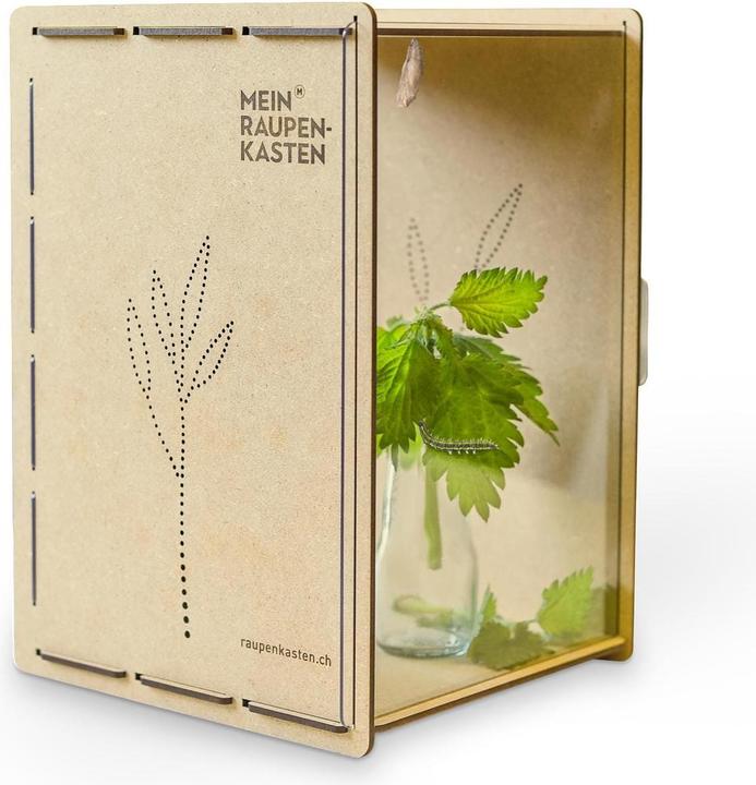 Mein Raupenkasten Raupenkasten (Schmetterlinge)