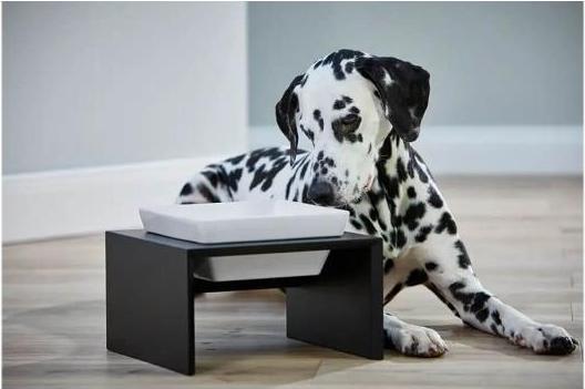 Actual product image Wolters Feeding station Meshidai single dog bowl (2.50 l)