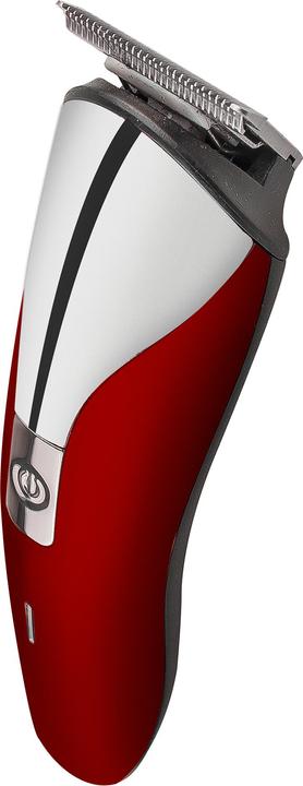 Küken 34089