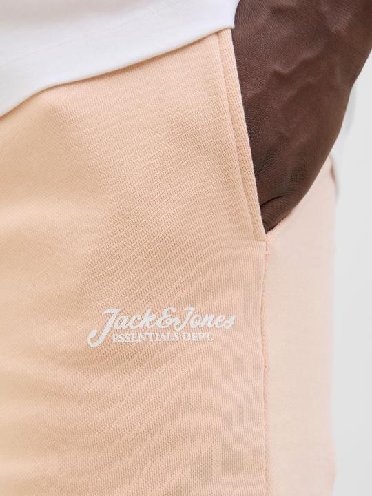 Actual product image Jack & Jones Regular Fit Shorts Shorts (M)