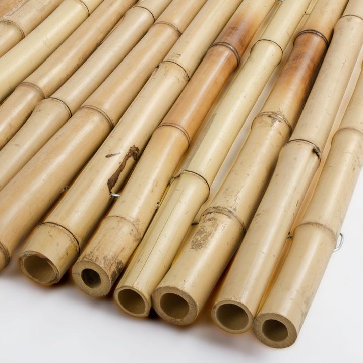 Image du produit Casa Pura Bambus-Sichtschutzzau (250 cm)