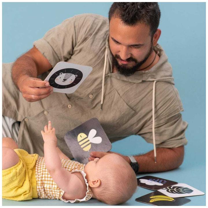 Produktbild Taf Toys Meine ersten Spielkarten