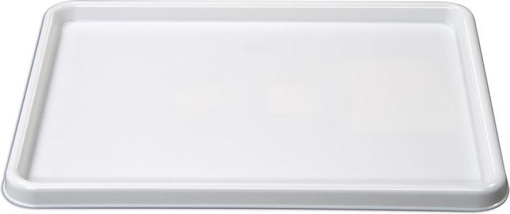 Actual product image Betzold Experiment tray