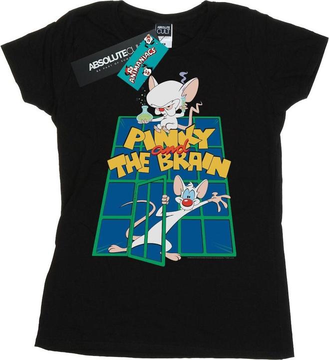 Actual product image Universal Textiles Womens/Ladies Pinky And The Brain Laboratory Cotton T-Shirt (XL)