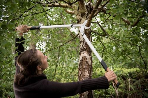 Produktbild Fiskars Astschere Bypass Quantum 80 cm