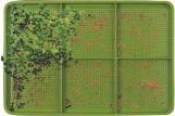 Actual product image Cook Concept Germination tray
