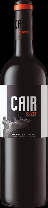Dominio de Cair Cair Cuvée (2019)