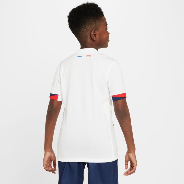 Actual product image Nike Paris Saint-Germain Kids Away Jersey (L)
