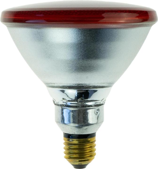 Philips Infrarot-Wärmelampe (175 W)
