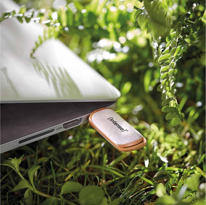 Immagine prodotto Intenso Green Line (64 GB, USB-A)