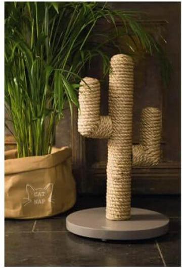 Actual product image Designed by Lotte Cactus (60 cm, Brown, Black, Dark brown)