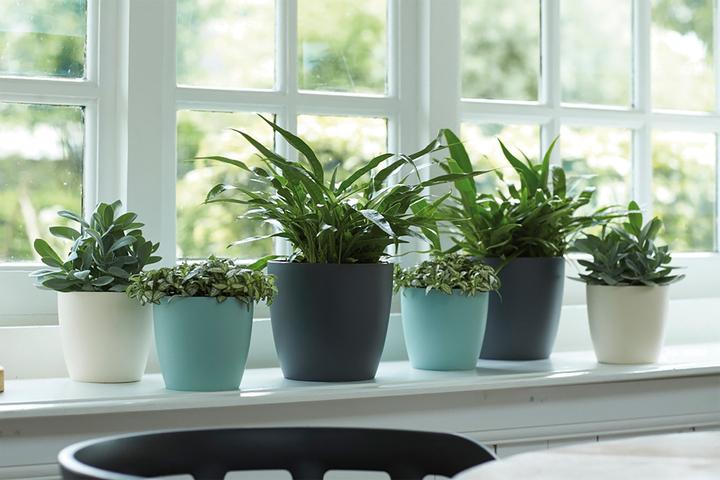 Produktbild Elho Brussels (24.30 cm)