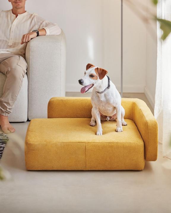 Produktbild Kave Home Bowie (Hund)