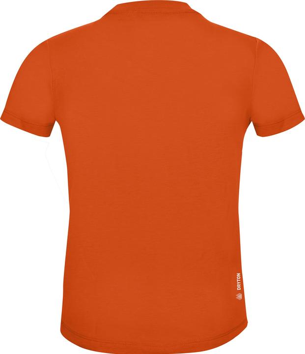 Immagine prodotto Salewa Grafica Dry S/S (104)