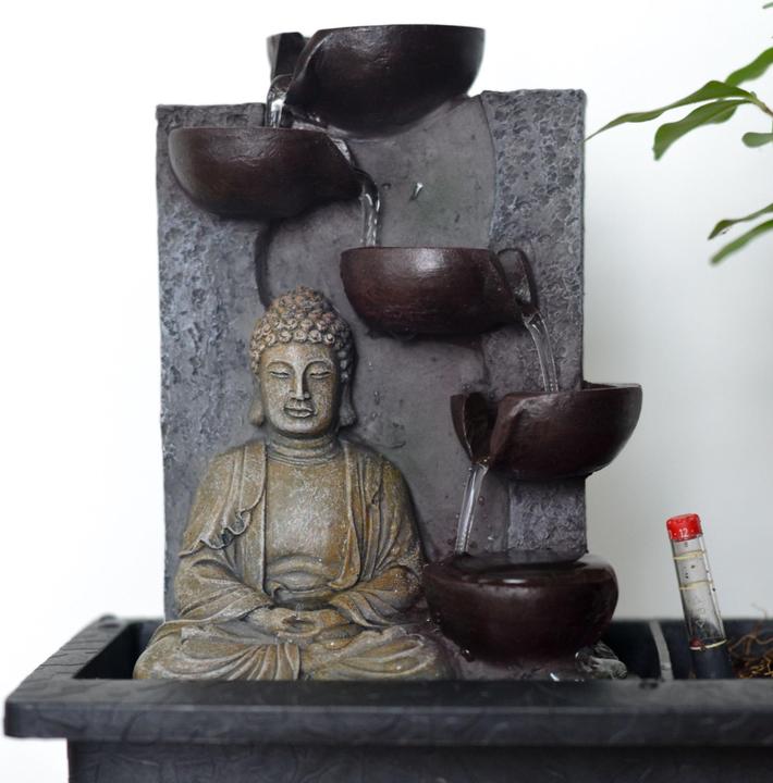 Produktbild Plant in a Box Bonsai Ligustrum, Carmona, Ficus Retusa, Syzygium, Sageretia - 2er Set Bonsai Wassersystem Buddha (25 cm)