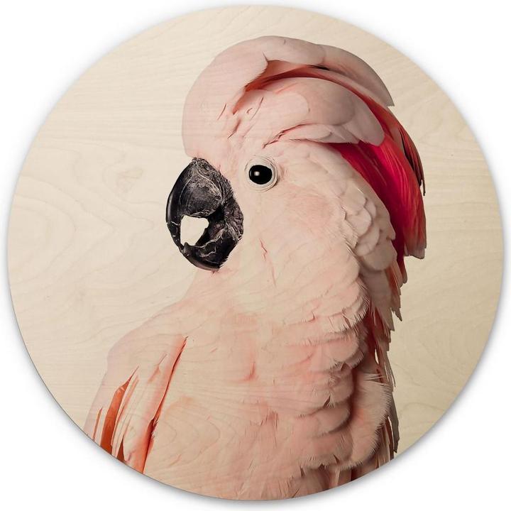 Image du produit Trenddeko Cacatoès rose (Rond)
